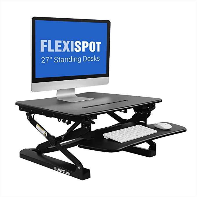 FlexiSpot Stand Up Desk