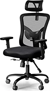NOBLEWELL Office Ergonomic Chair