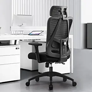 Primy Ergonomic Office Chair