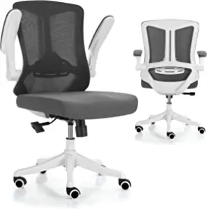 Eognyzie Home Office Chair